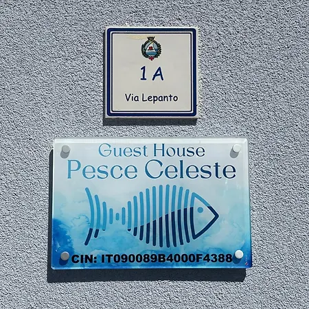 Pesce Celeste 스틴티노